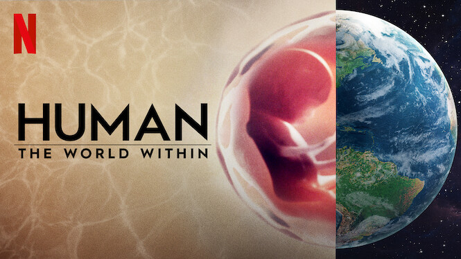 the world after humans show the world after humans show